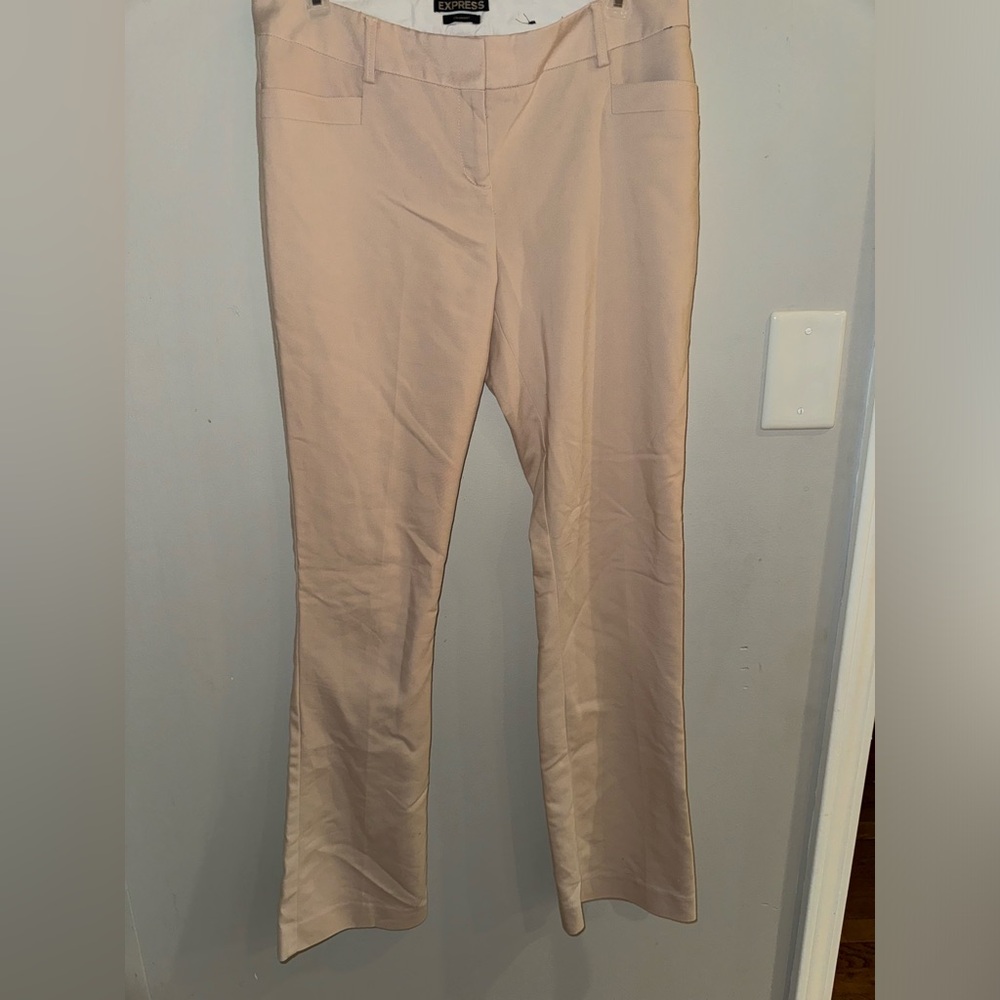 Express- Columnist pants